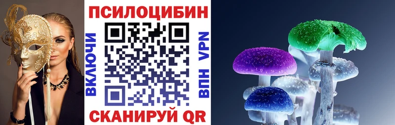 Псилоцибиновые грибы мицелий  Сосновый Бор 