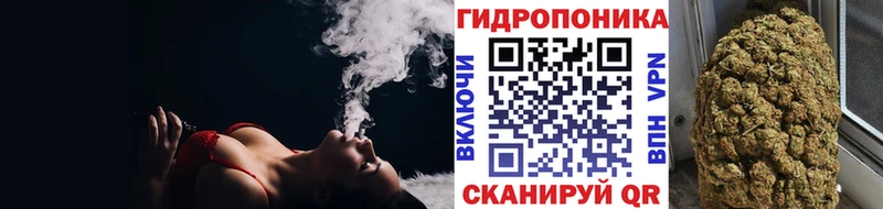 Бошки Шишки VHQ  где продают наркотики  Сосновый Бор 